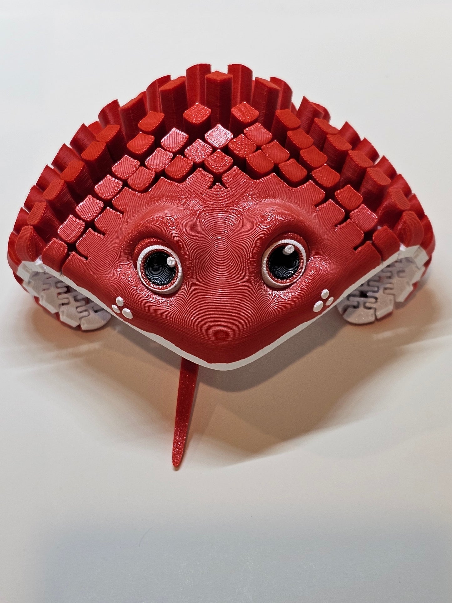 Ray The Manta Ray