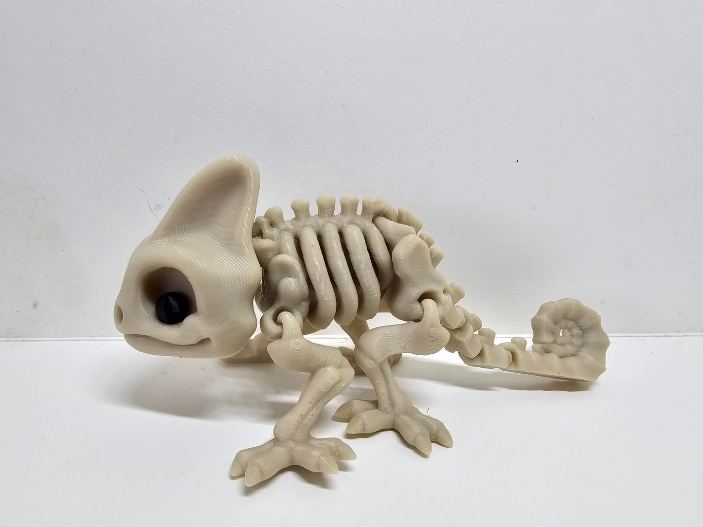 Animal Skeleton - Chameleon