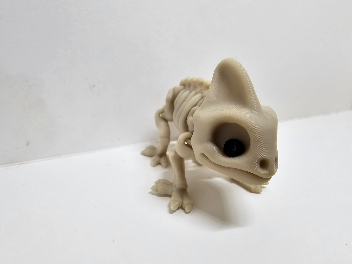 Animal Skeleton - Chameleon