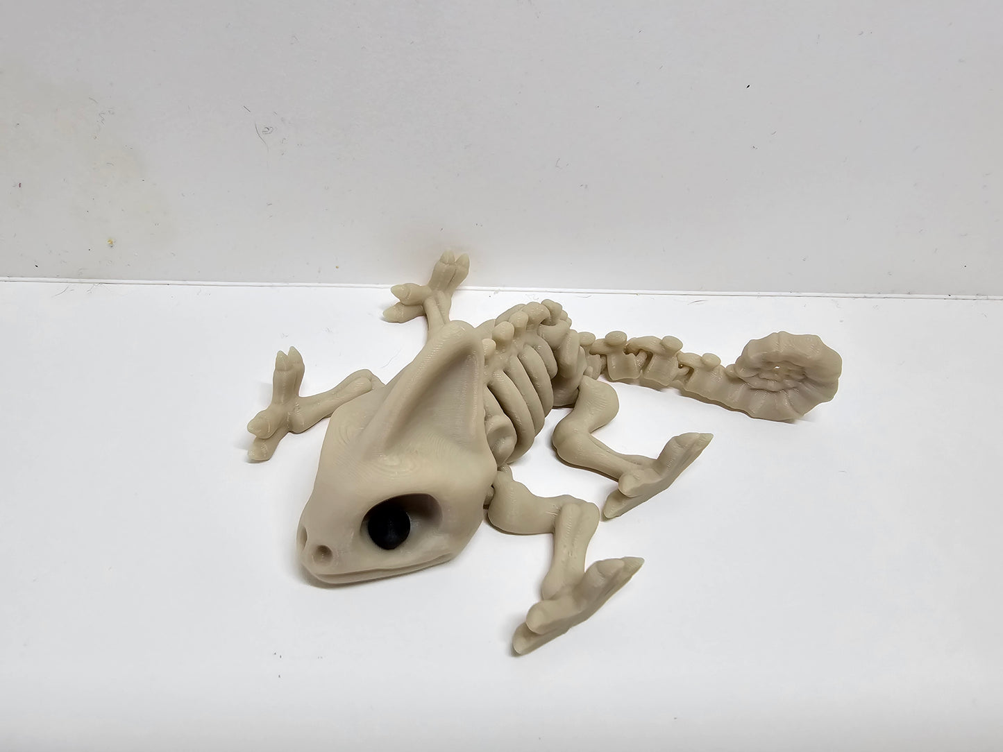 Animal Skeleton - Chameleon