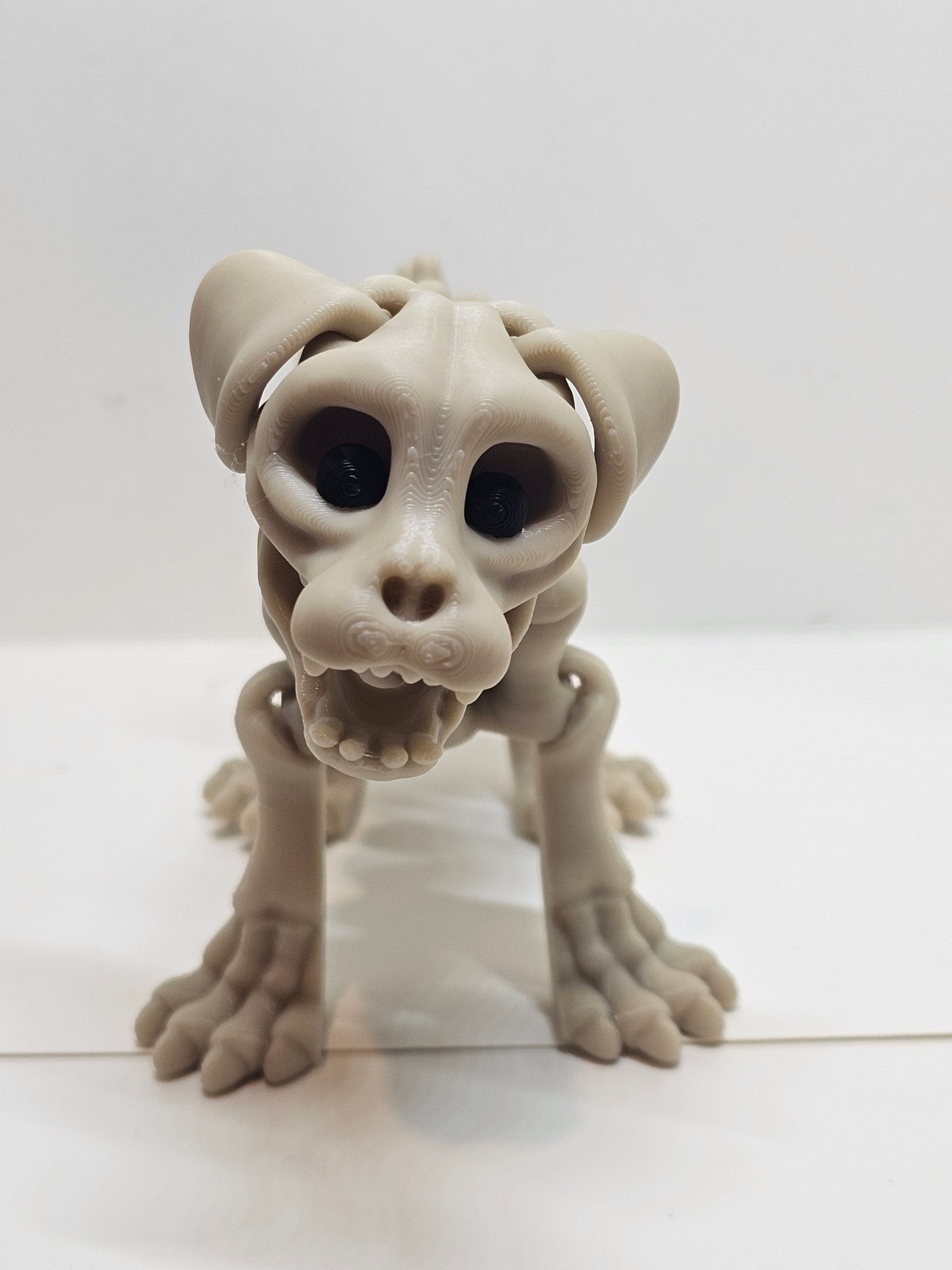 Animal Skeleton - Dog