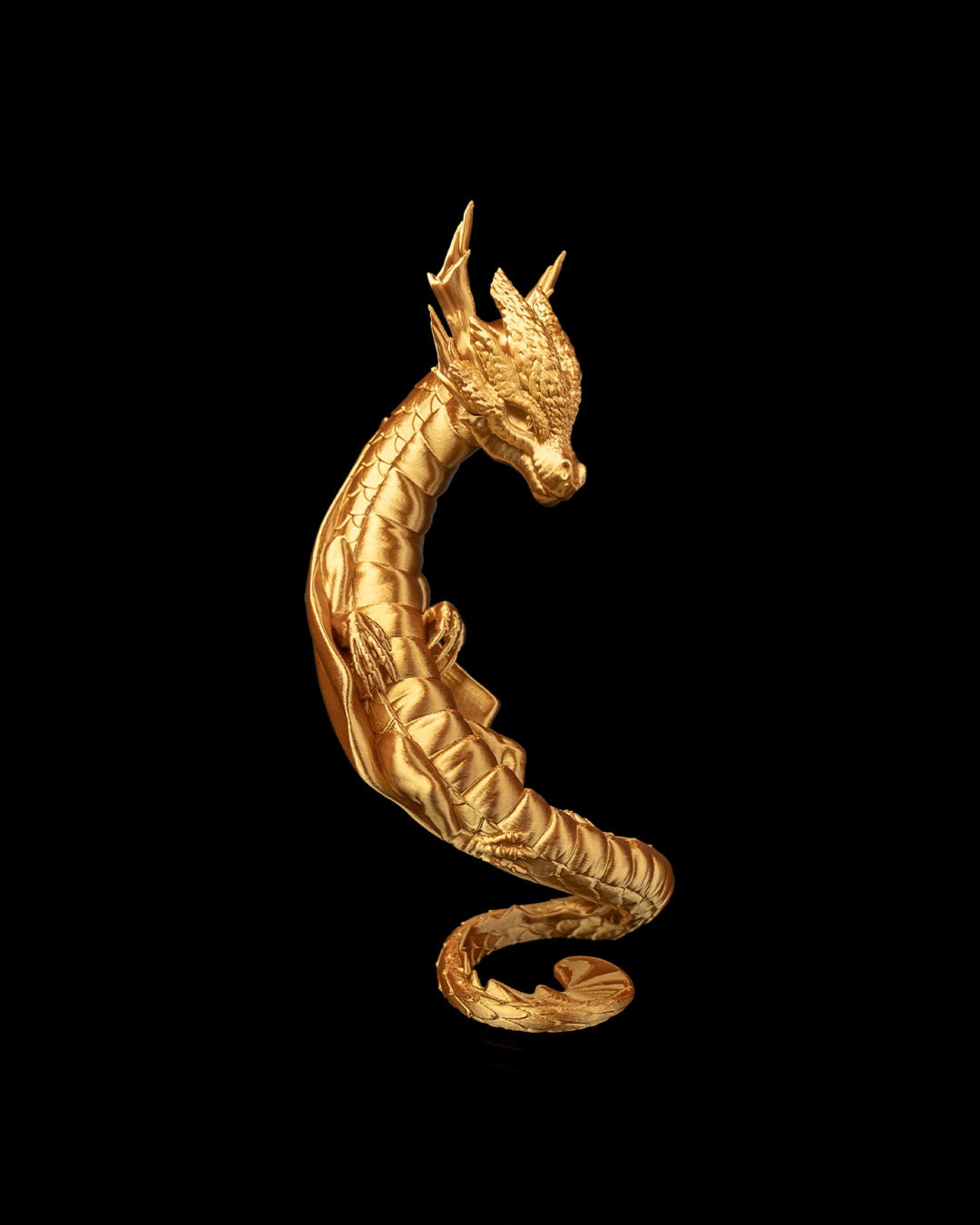 Draconic Bond