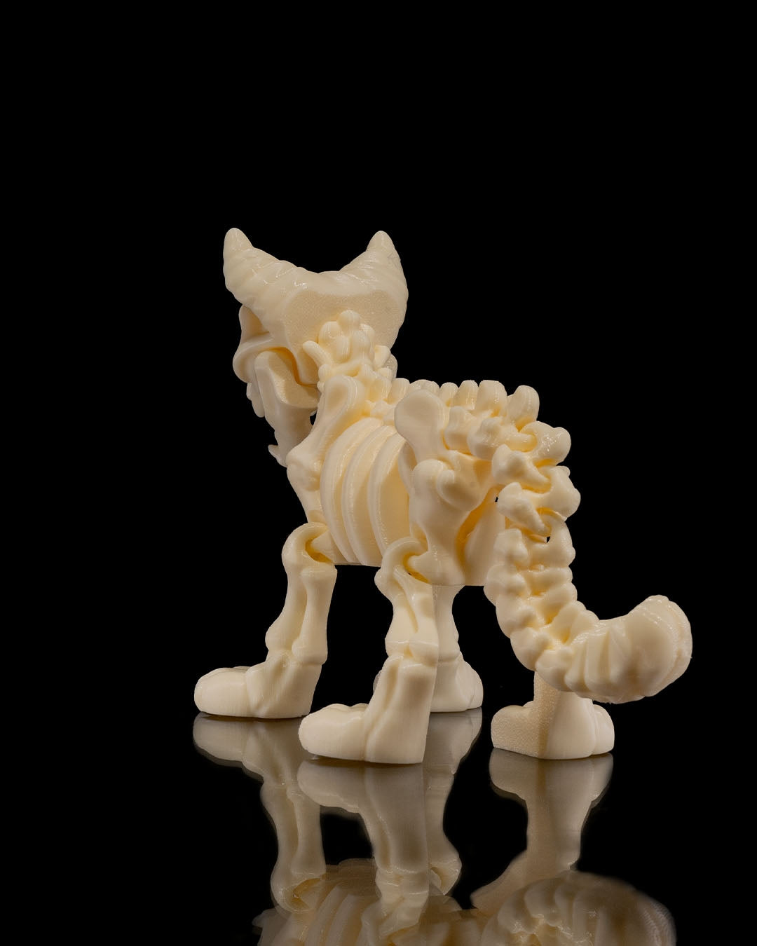 Animal Skeleton - Cat