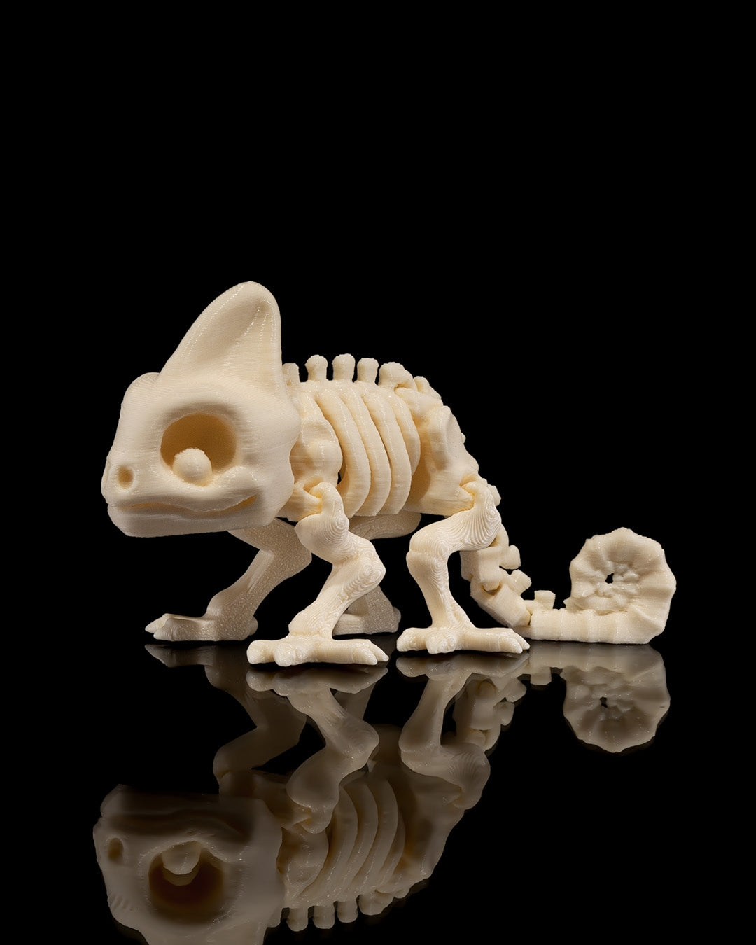 Animal Skeleton - Chameleon