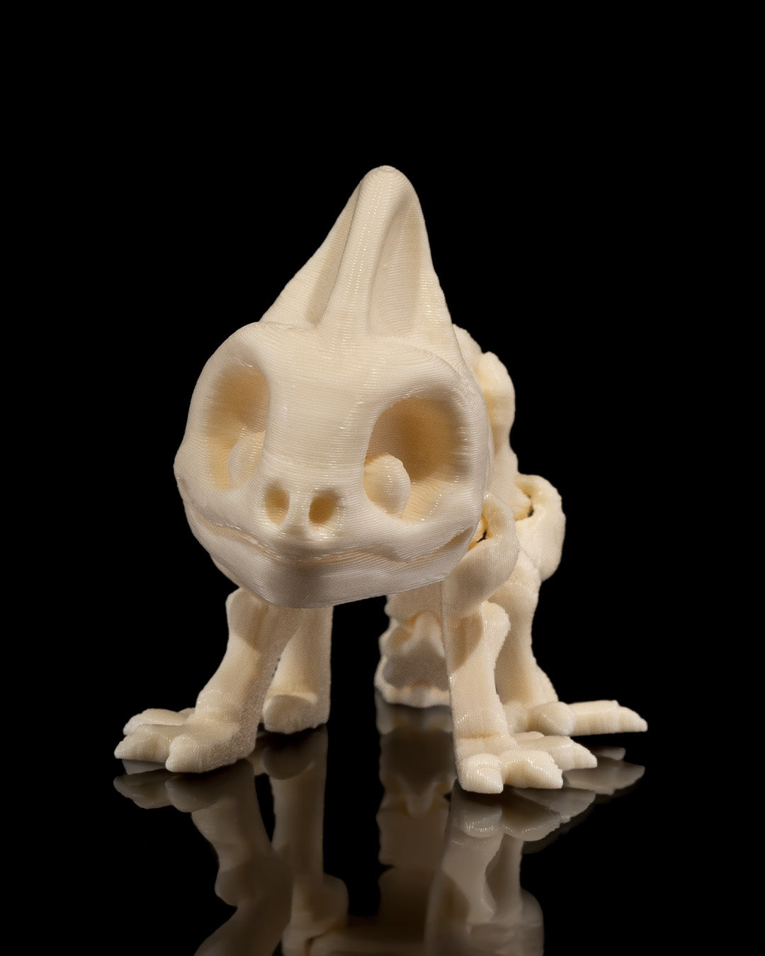 Animal Skeleton - Chameleon