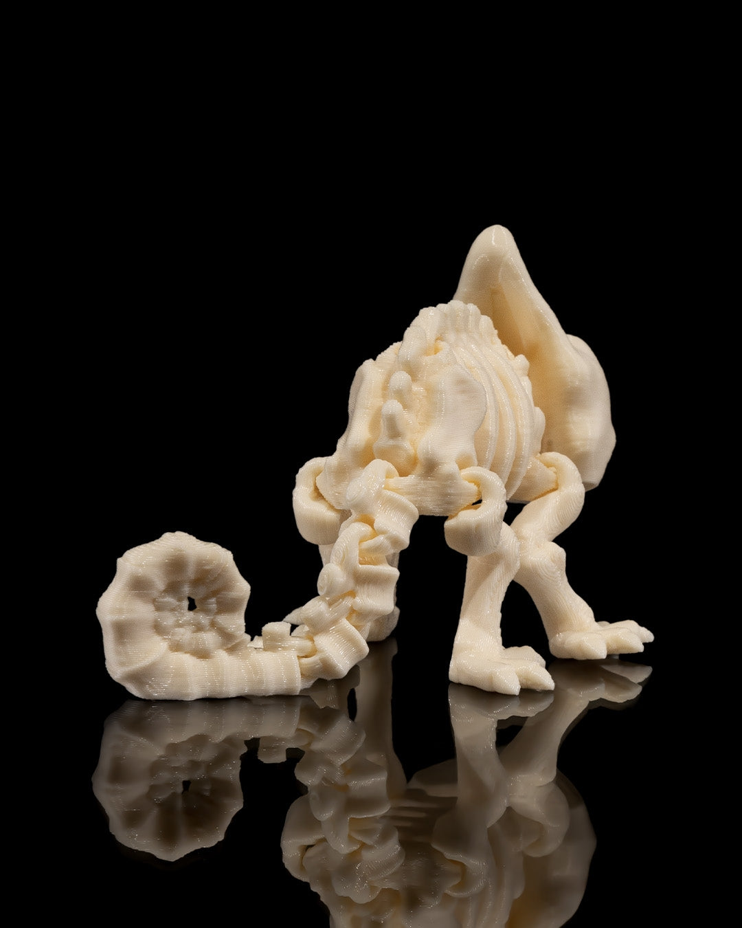 Animal Skeleton - Chameleon