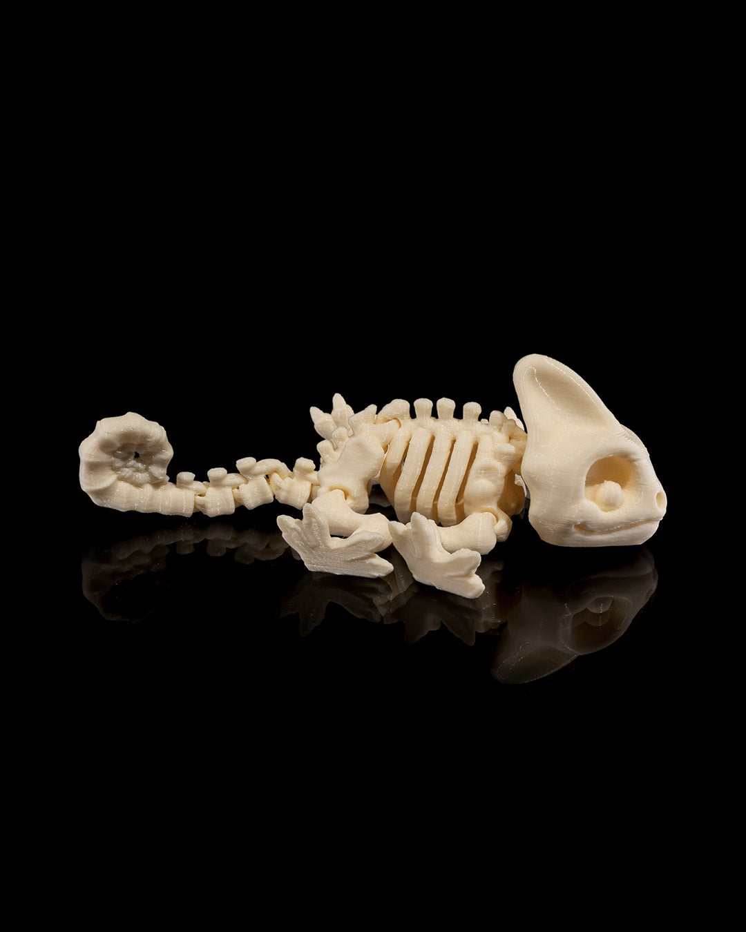 Animal Skeleton - Chameleon