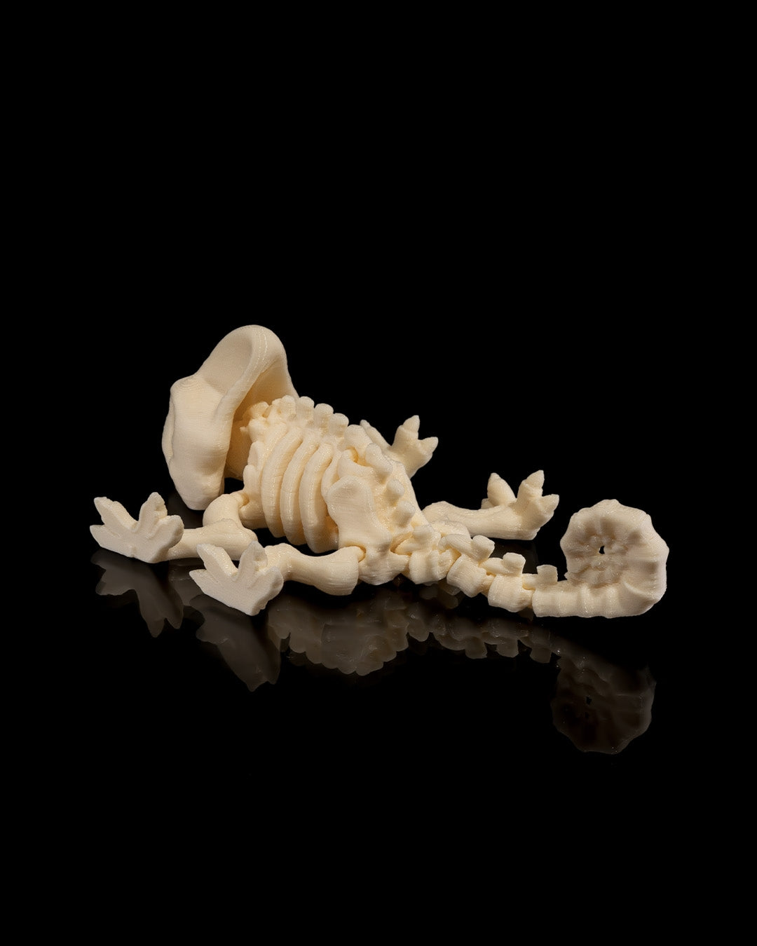 Animal Skeleton - Chameleon