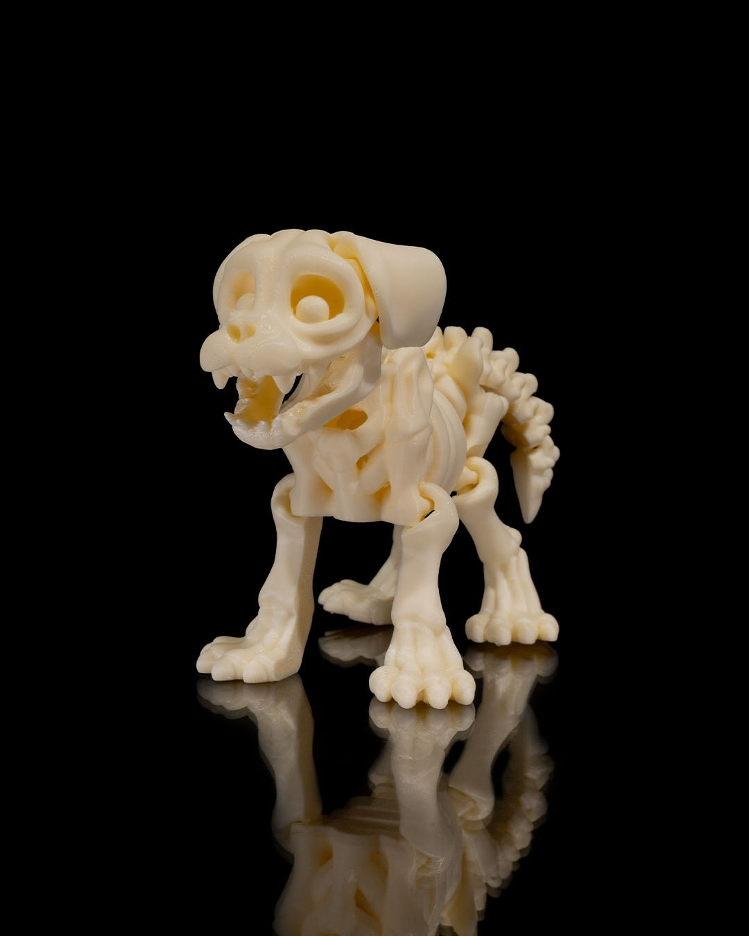 Animal Skeleton - Dog