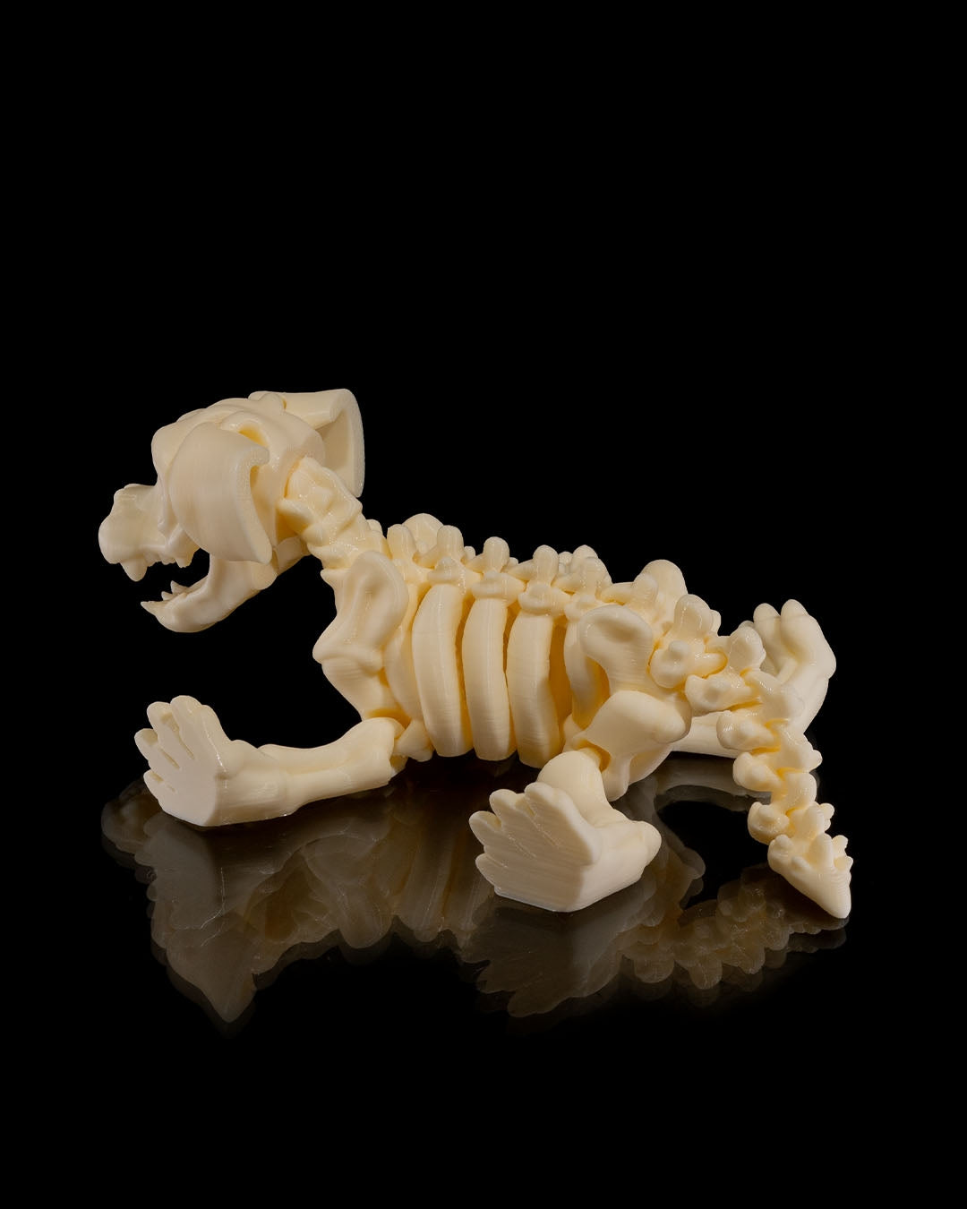Animal Skeleton - Dog