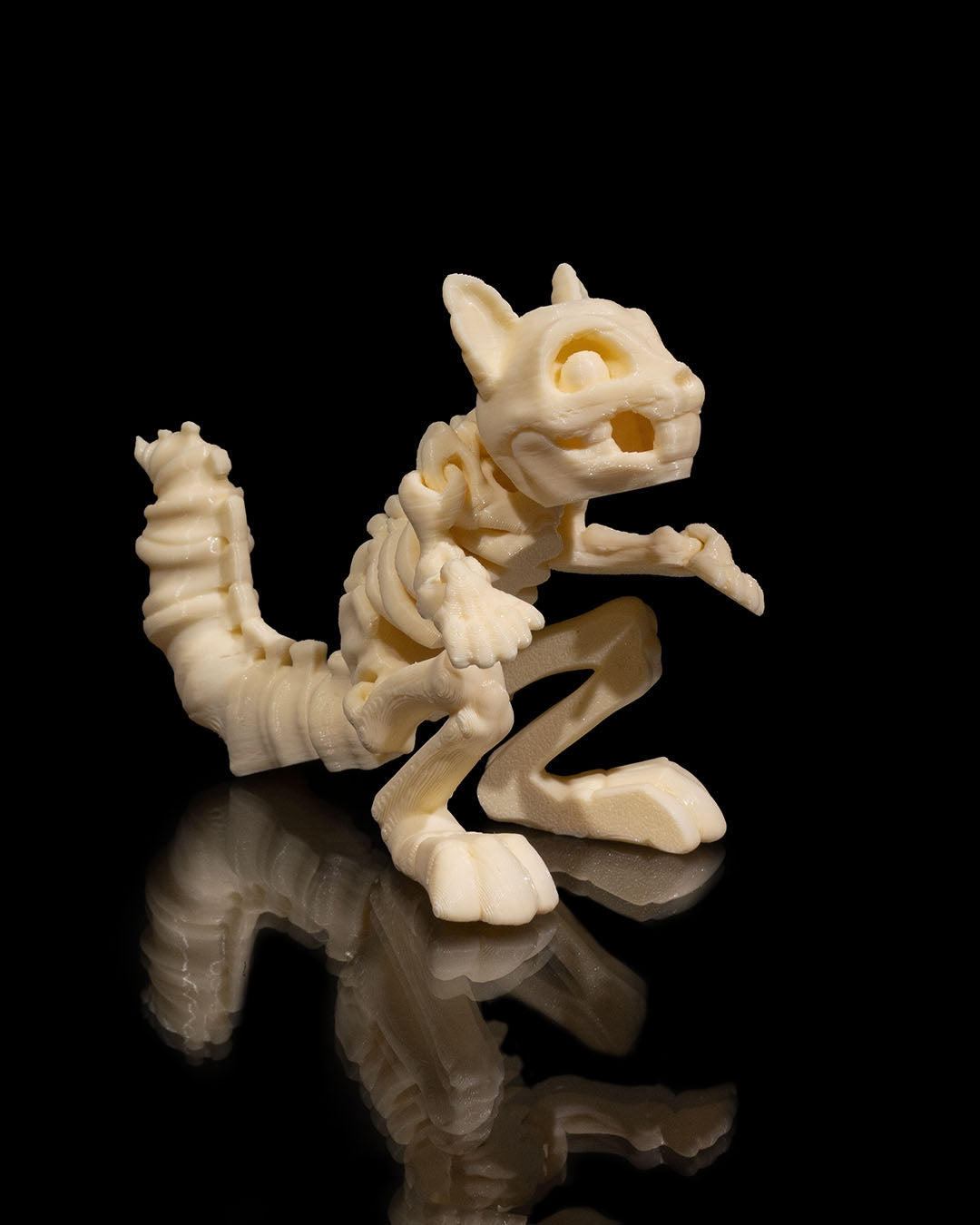 Animal Skeleton - Squirrel