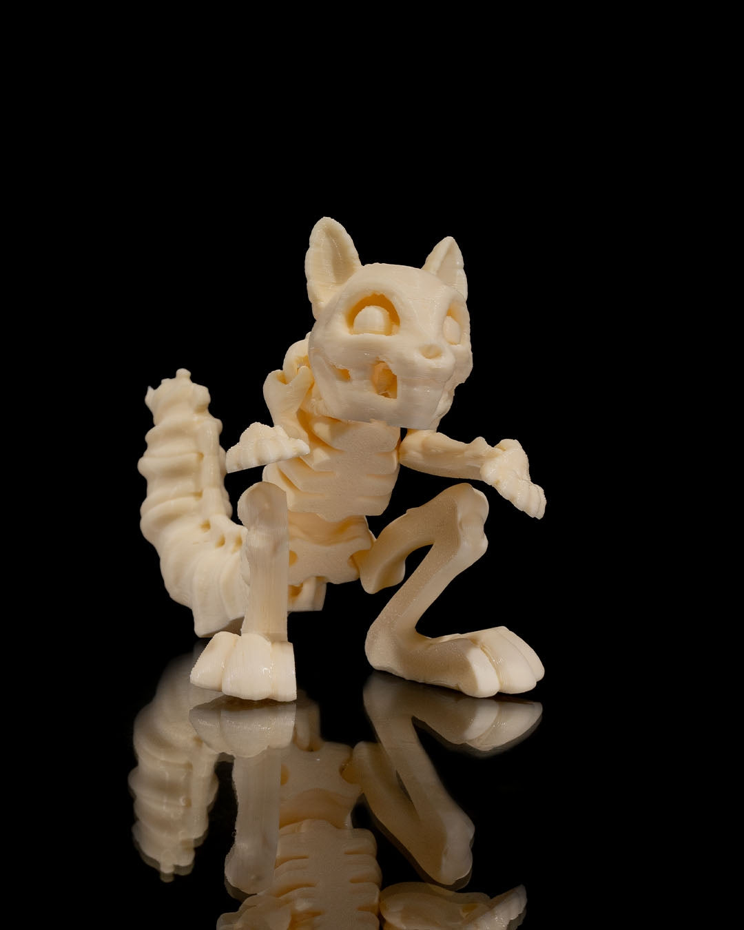 Animal Skeleton - Squirrel