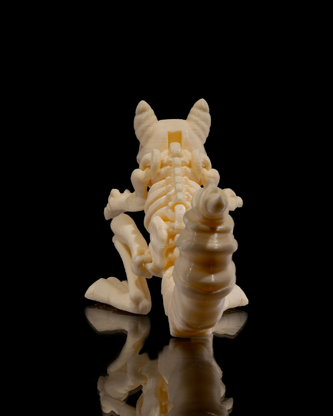 Animal Skeleton - Squirrel