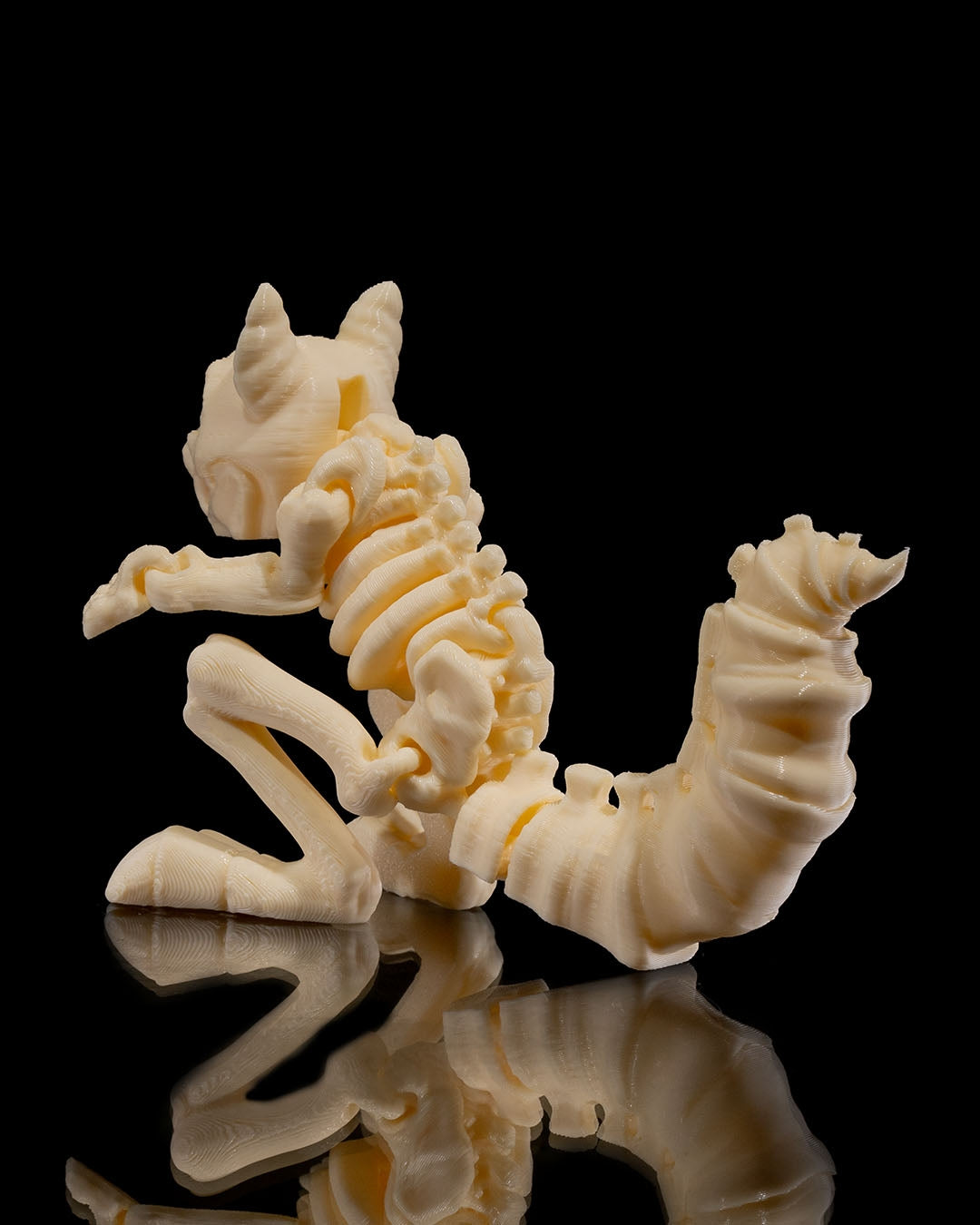 Animal Skeleton - Squirrel