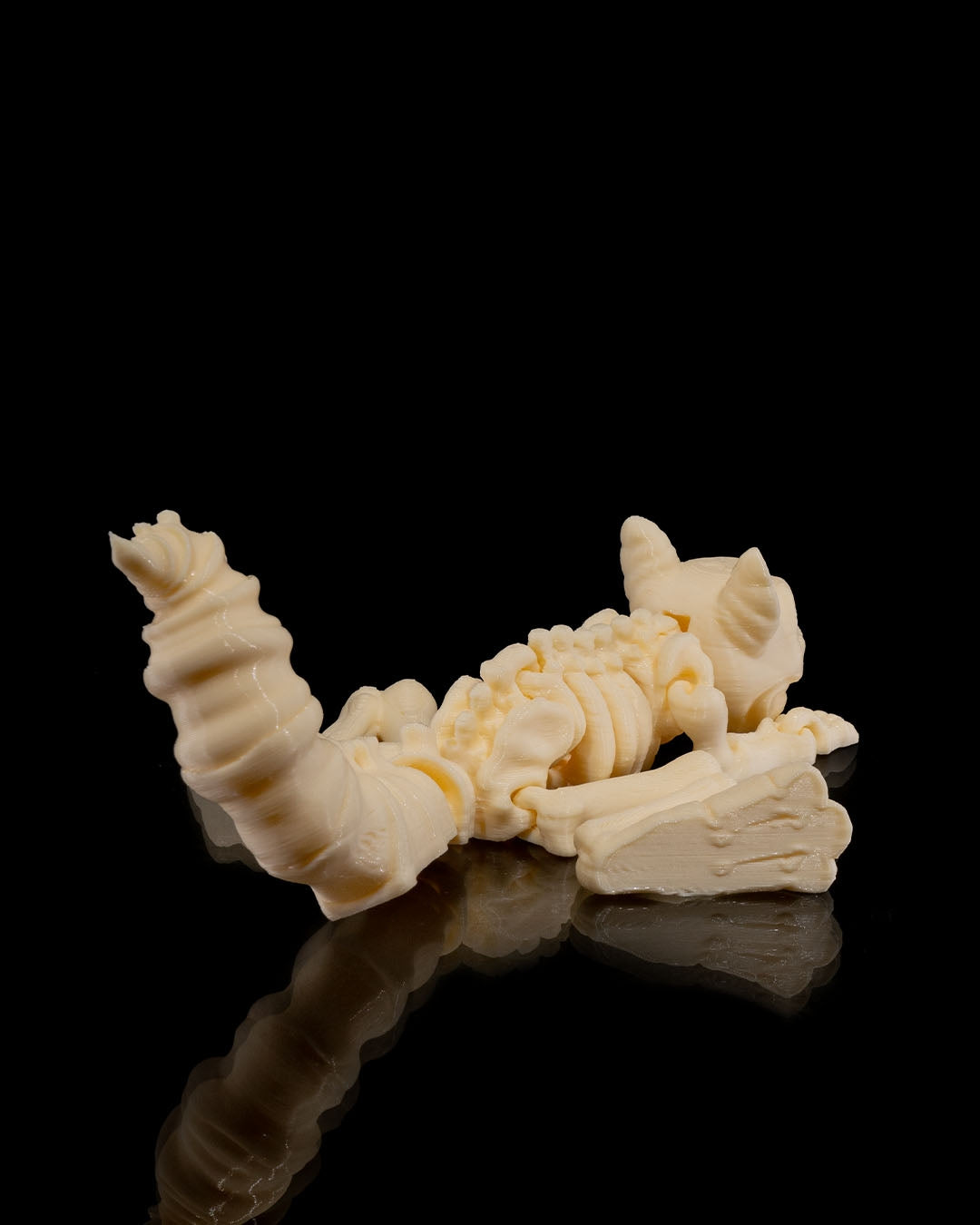 Animal Skeleton - Squirrel