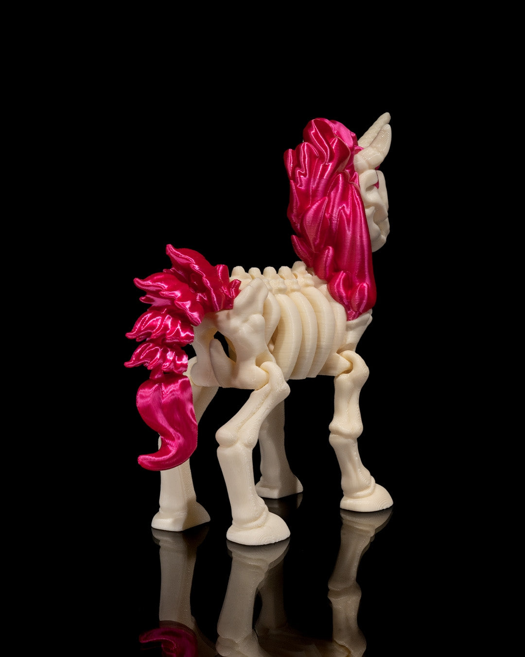 Animal Skeleton - Unicorn