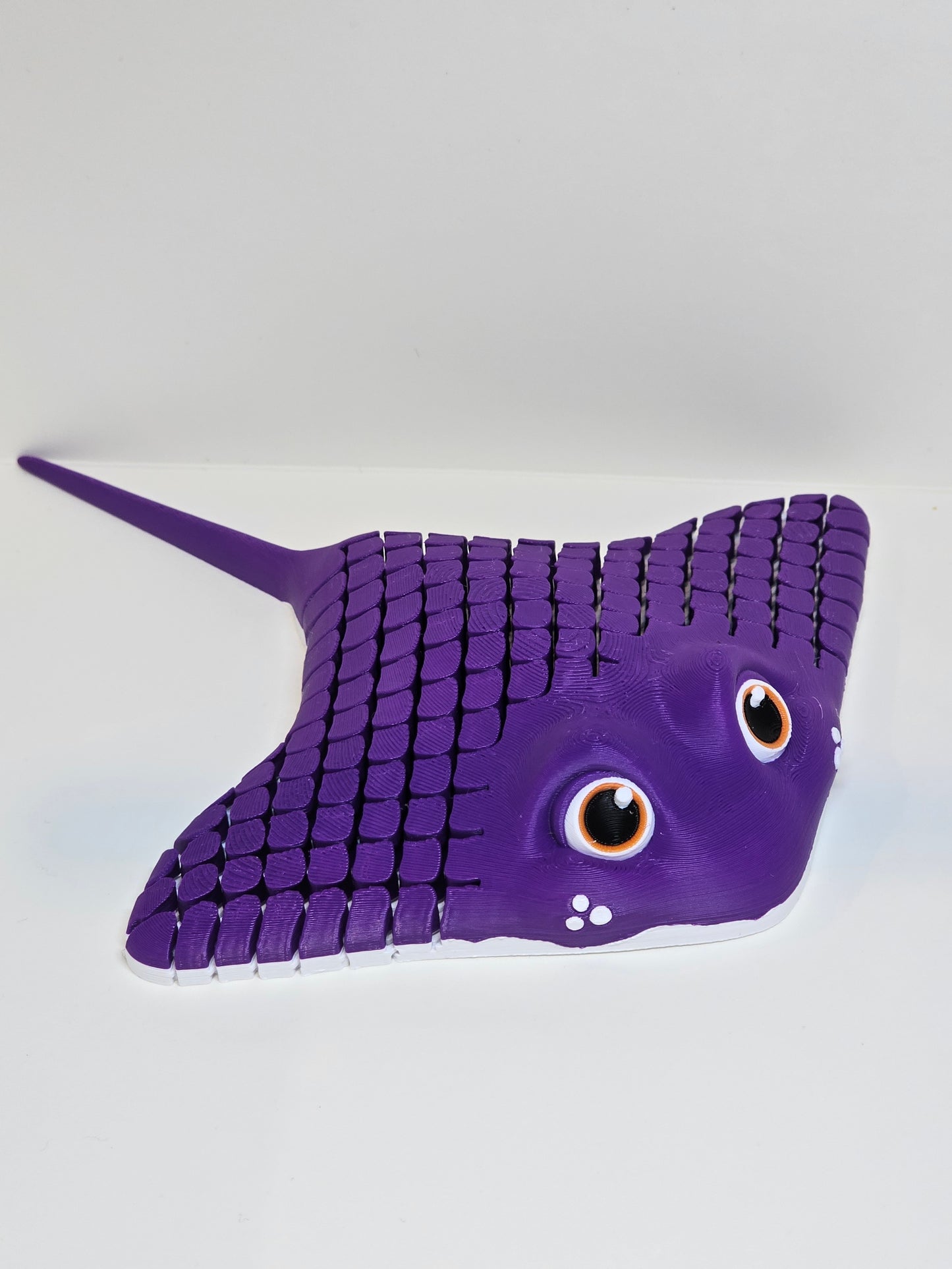 Ray The Manta Ray