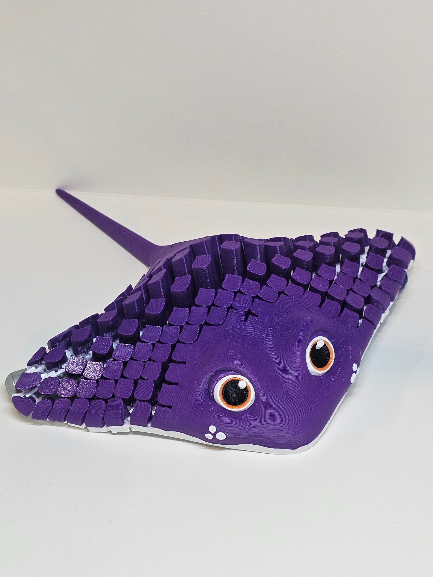 Ray The Manta Ray