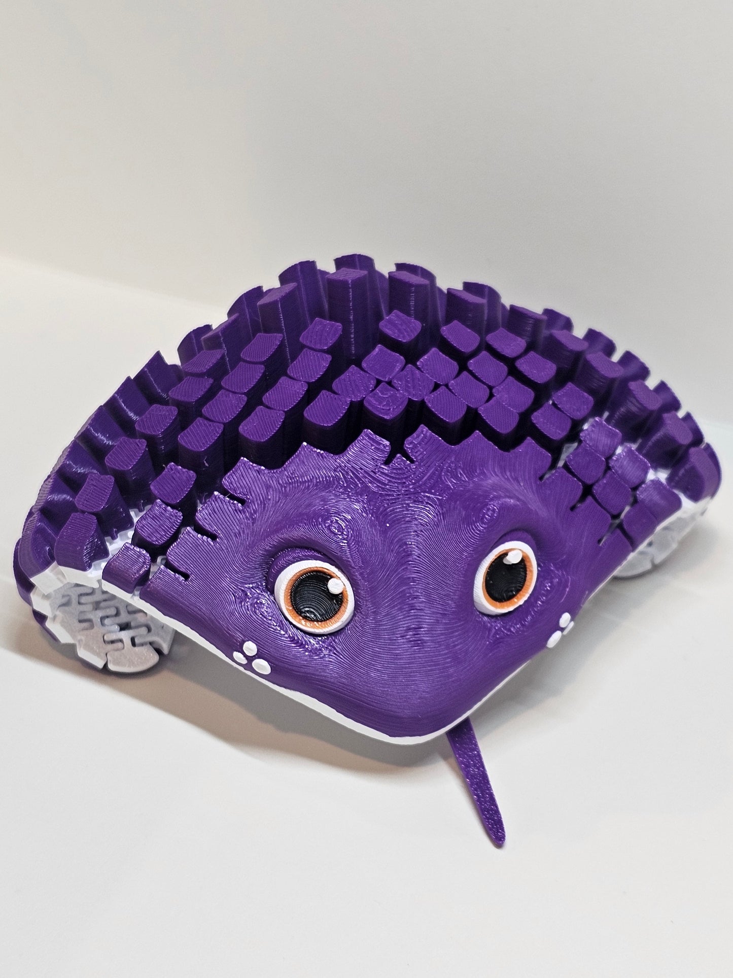 Ray The Manta Ray