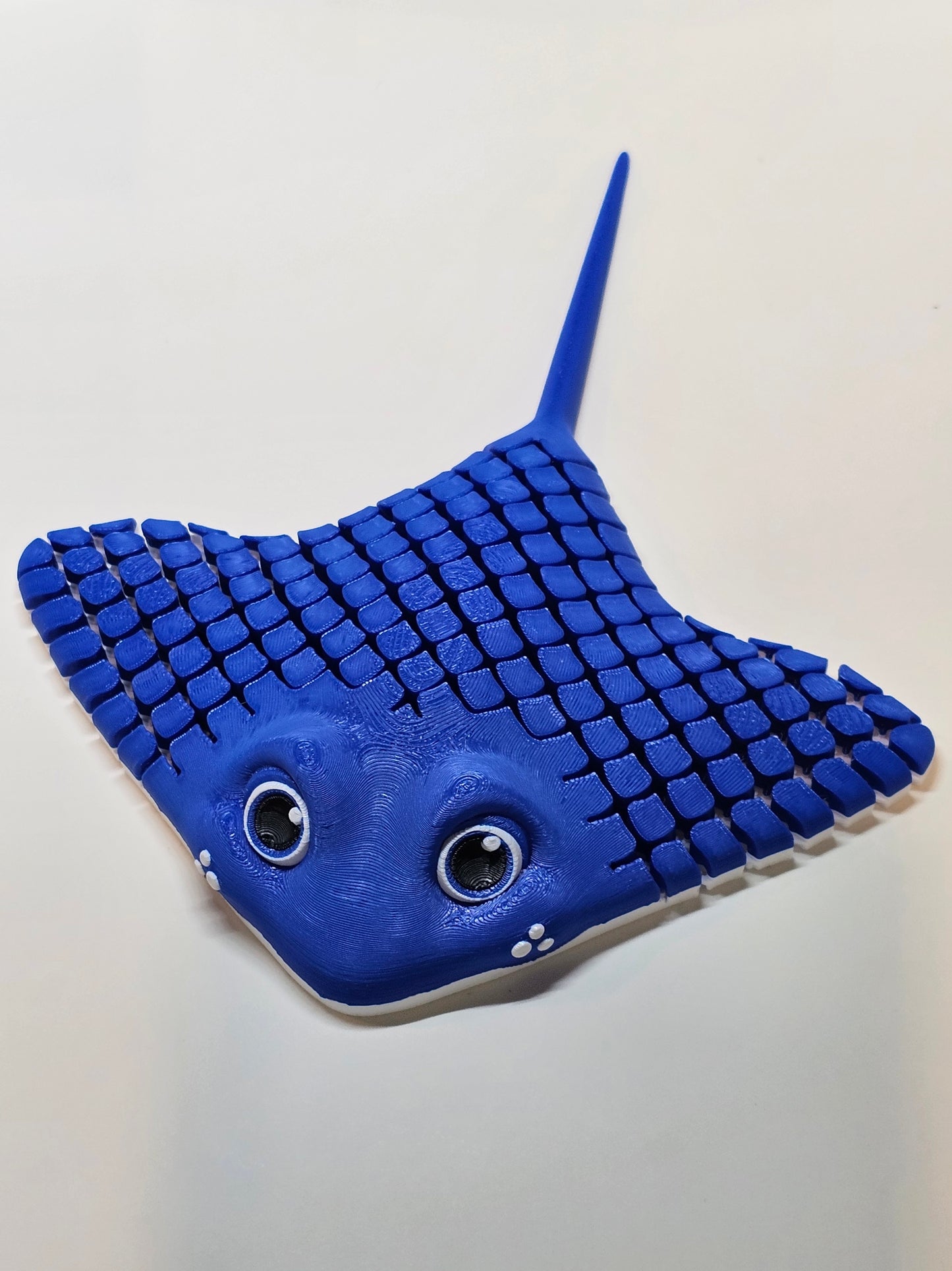 Ray The Manta Ray