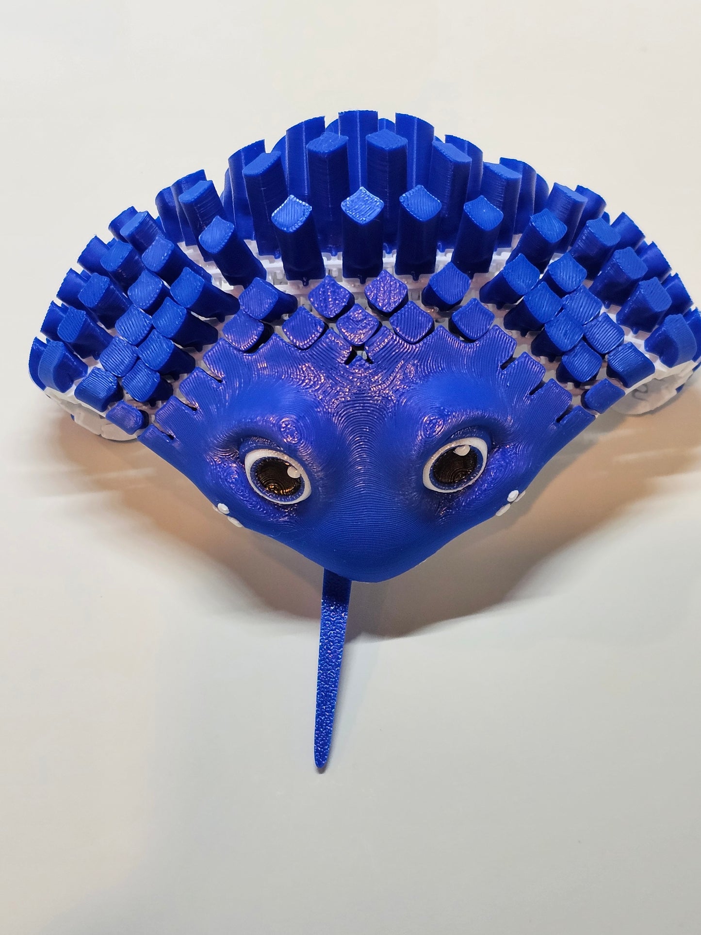 Ray The Manta Ray