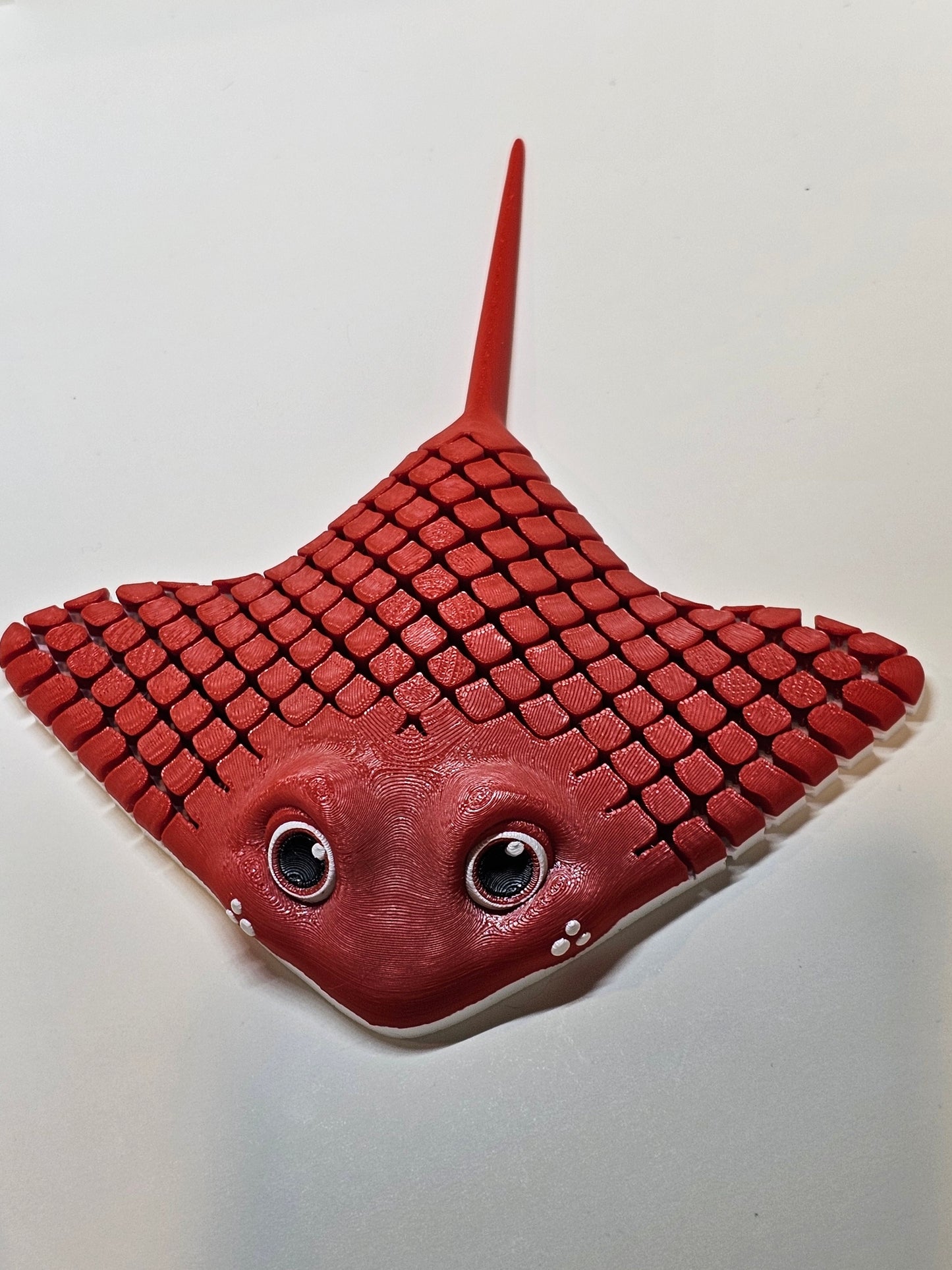 Ray The Manta Ray