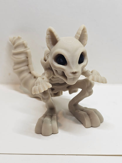 Animal Skeleton - Squirrel