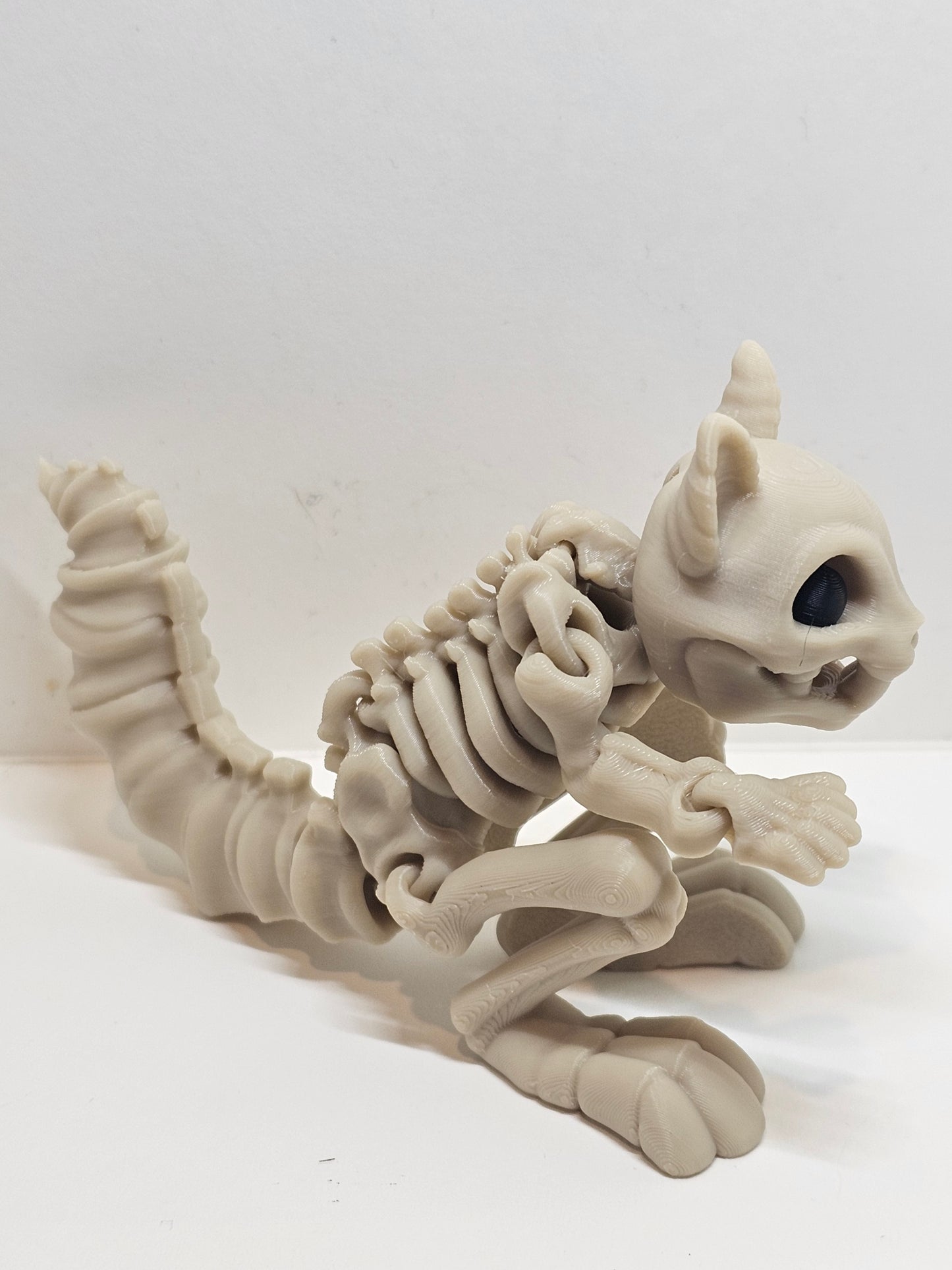 Animal Skeleton - Squirrel
