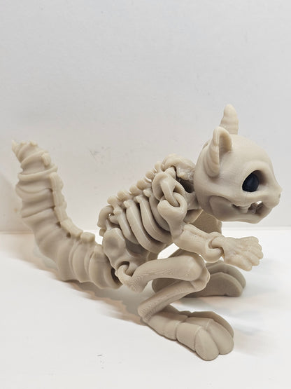Animal Skeleton - Squirrel