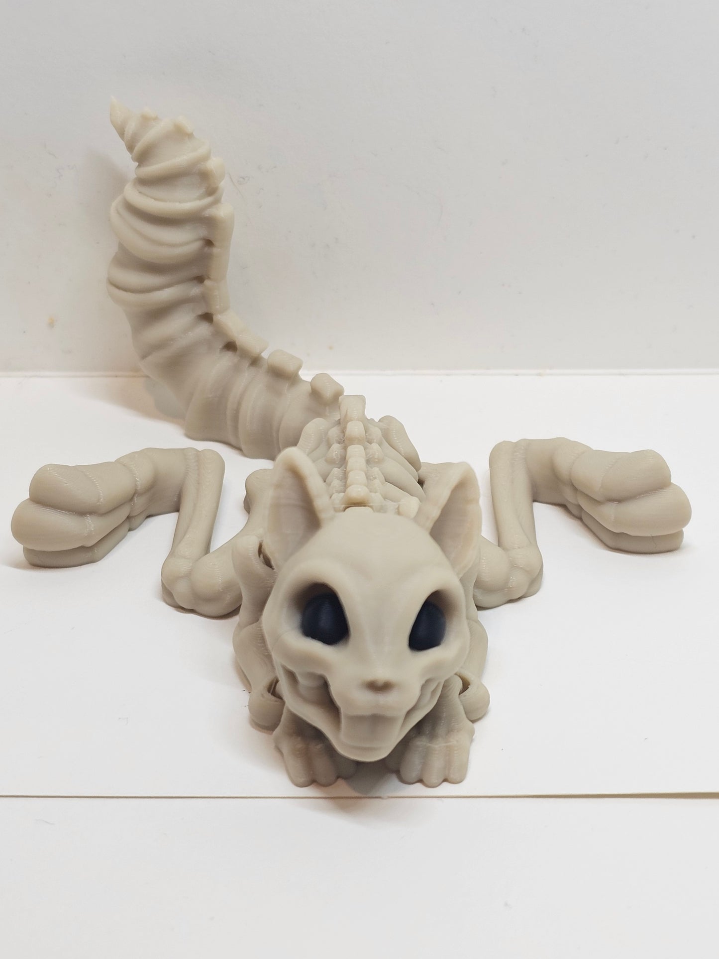 Animal Skeleton - Squirrel